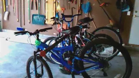 Gator garage hoist.