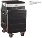 Рэковый кейс GATOR GRC-10X12 PU