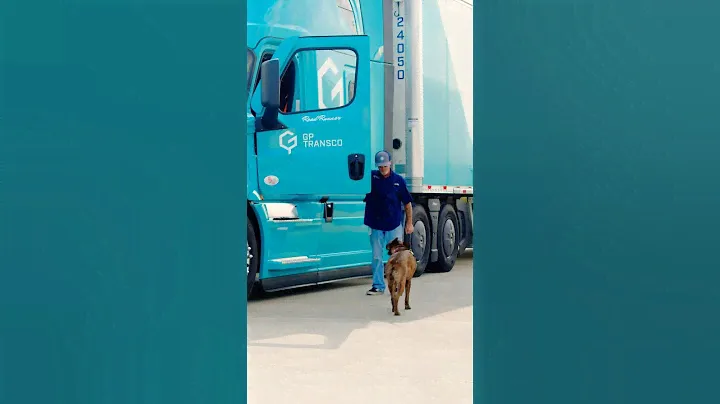 Rolling with Gator: A Truck Driver's Adventure Companion 🚚🐾 #TruckersBestFriend #DogOnBoard