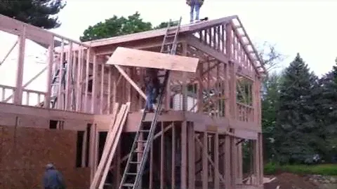 Professional Plywood Carrier