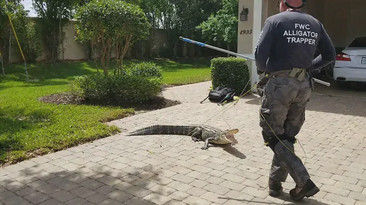 Garage gator