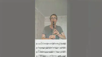 Концерт для кларнета ми ь мажор - 2 часть (Адажио) #clarinet #музыка #крамарж