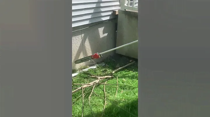 Husqvarna Pole Saw in action!